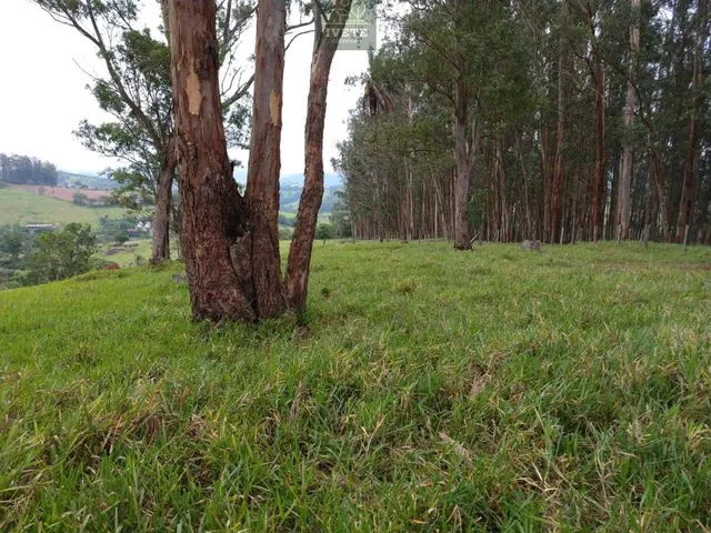 Imagem: Terreno, À Venda em Socorro