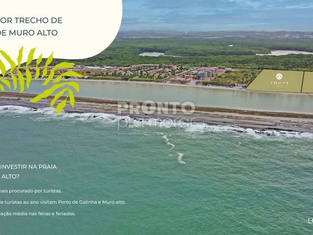 Imagem 2: Apartamento com 3 Quartos em Muro Alto