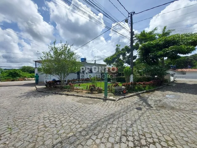 Imagem 13: Casa de Condomínio com 3 Quartos em Jardim Primavera