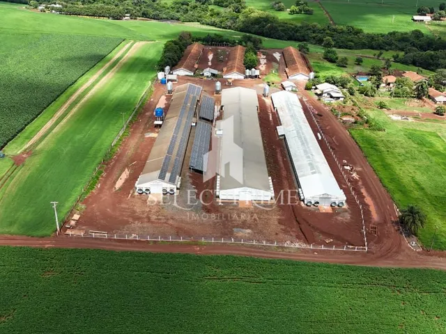 Imagem: Chácara de 1.5 Alqueire com 6 Aviários