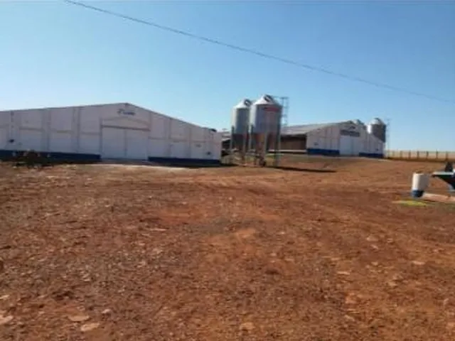 Imagem 10: Chácara de 1.5 Alqueire com 6 Aviários Alojados pela Brf em Nova Sta. Rosa
