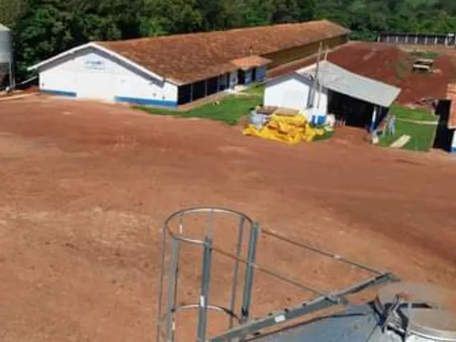 Imagem 5: Chácara de 1.5 Alqueire com 6 Aviários Alojados pela Brf em Nova Sta. Rosa