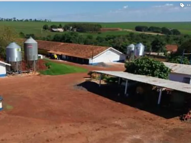 Imagem 8: Chácara de 1.5 Alqueire com 6 Aviários Alojados pela Brf em Nova Sta. Rosa