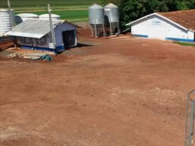Imagem 6: Chácara de 1.5 Alqueire com 6 Aviários Alojados pela Brf em Nova Sta. Rosa