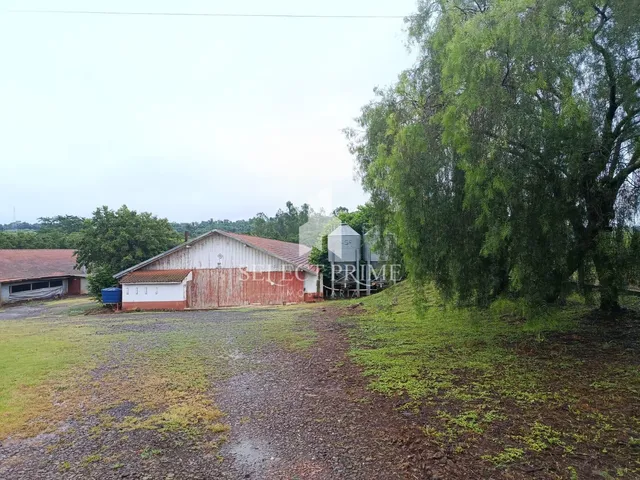 Imagem: Chácara Avícola de 30.000M² com Excelente