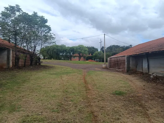 Imagem 9: Chácara Avícola de 30.000M² com Excelente Casa em Alvenaria em Marechal Candido Rondon (Margarida