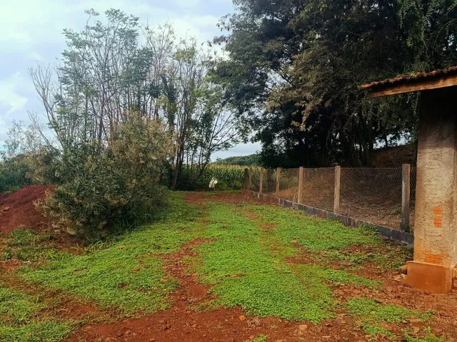 Imagem 10: Chácara Avícola de 30.000M² com Excelente Casa em Alvenaria em Marechal Candido Rondon (Margarida