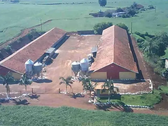 Imagem: Chácara Avícola com com 3 Aviários em
