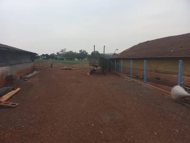 Imagem 14: Chácara Suinocultura Pecuária de 16.300M Matrícula Individual Antiga Pr589 - Nova santa Rosa