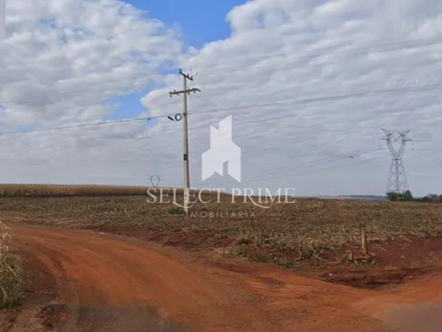 Imagem 4: Chácara Industrial 41.500M - 1,7 Alqueire Ao Lado da Pr467 Entre Dois Irmãos e Vila Ipiranga Toledo