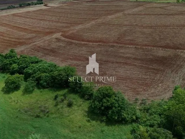 Imagem 3: Promoção Chácara 20.000M Rio no Fundo Maior Parte de Área Aberta Dois Irmãos - Distrito de Toledo
