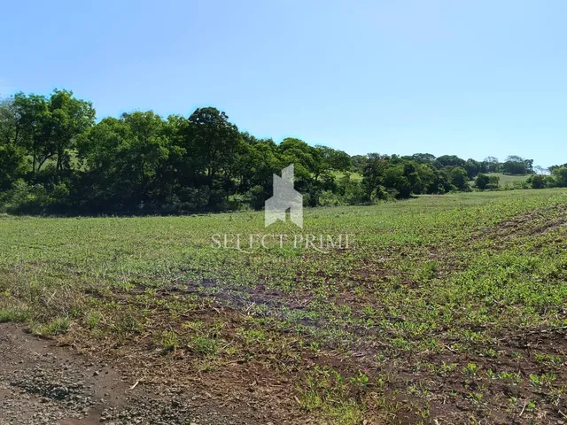 Imagem 4: Chácara de 20.000M em Marechal C Rondon Matrícula Individual com Maior Parte Aberta