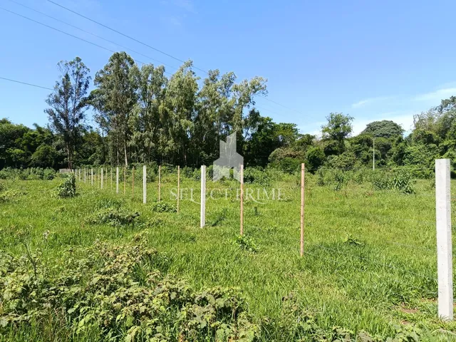 Imagem 9: Chácara de 20.000M Matrícula Individual na Zona Rural de Marechal Cândido Rondon