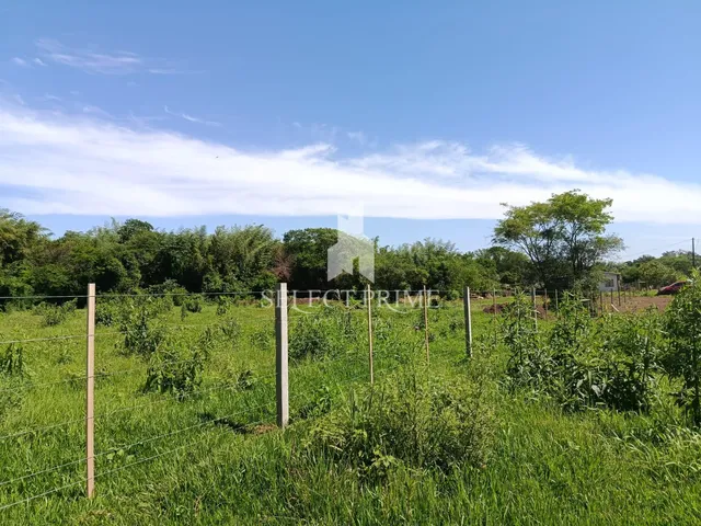 Imagem 4: Chácara de 20.000M Matrícula Individual na Zona Rural de Marechal Cândido Rondon