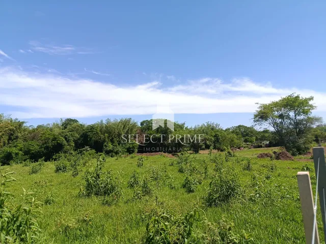 Imagem 5: Chácara de 20.000M Matrícula Individual na Zona Rural de Marechal Cândido Rondon