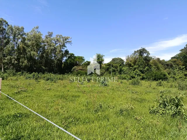 Imagem 6: Chácara de 20.000M Matrícula Individual na Zona Rural de Marechal Cândido Rondon