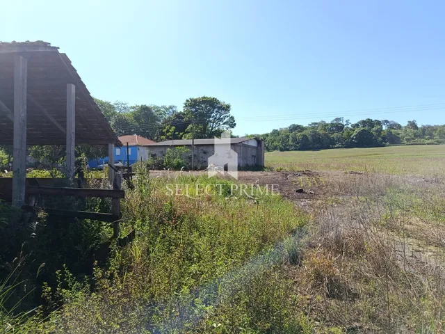 Imagem 3: Chácara 20.000M Matricula Individual Barracão de Alvenaria e Estábulo em Marechal Cândido Rondon