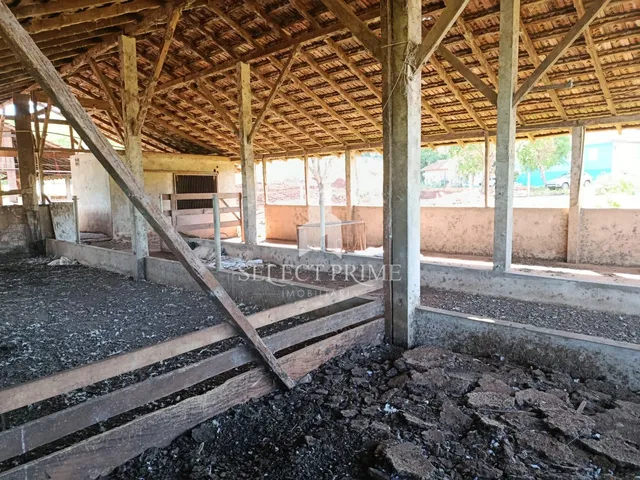 Imagem 7: Chácara 20.000M Matricula Individual Barracão de Alvenaria e Estábulo em Marechal Cândido Rondon