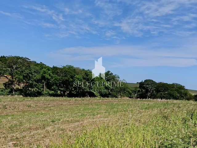 Imagem 9: Chácara 20.000M Matricula Individual Barracão de Alvenaria e Estábulo em Marechal Cândido Rondon