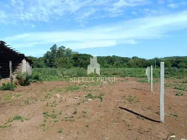 Imagem 2: Chácara 20.000M Matricula Individual Barracão de Alvenaria e Estábulo em Marechal Cândido Rondon