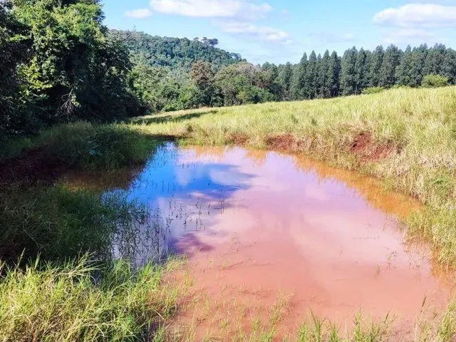 Imagem 6: Chácara de 2.7 Alqueires (65.340M²) Rica em Água, Dois Irmãos, Toledo - Pr