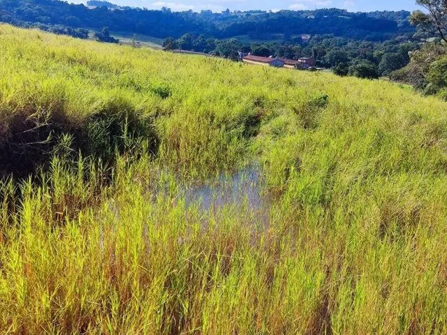 Imagem 5: Chácara de 2.7 Alqueires (65.340M²) Rica em Água, Dois Irmãos, Toledo - Pr
