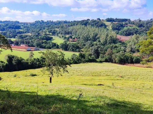 Imagem 7: Chácara de 2.7 Alqueires (65.340M²) Rica em Água, Dois Irmãos, Toledo - Pr