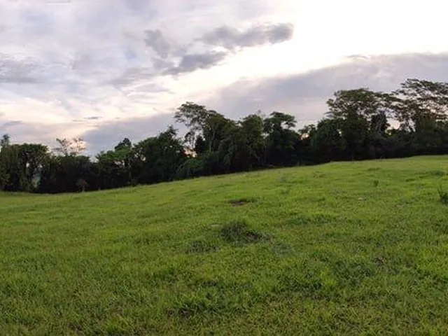 Imagem 2: Chácara de 2.7 Alqueires (65.340M²) Rica em Água, Dois Irmãos, Toledo - Pr