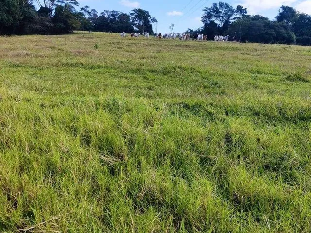Imagem 9: Chácara de 2.7 Alqueires (65.340M²) Rica em Água, Dois Irmãos, Toledo - Pr