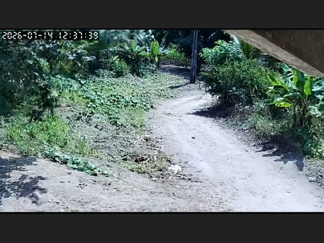 Imagem: Vender se casa 2 Tarefa 4 braça terra