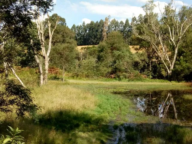 Imagem 7: Fazenda À Venda Às Margens da Br-476 Paula Freitaspr