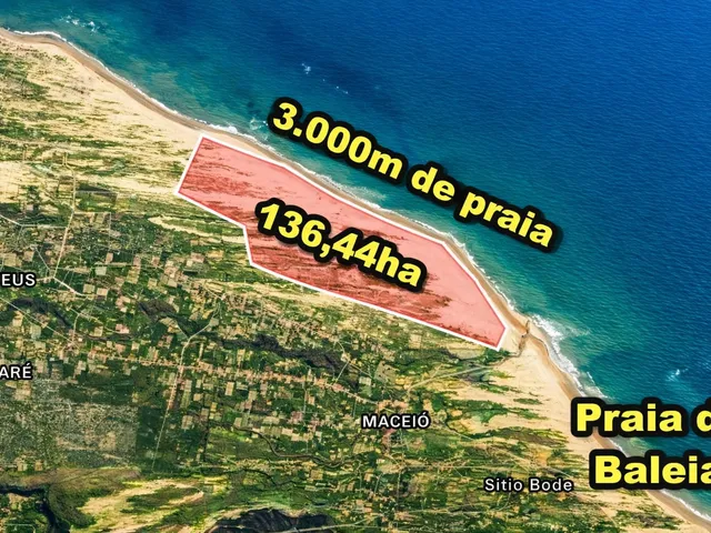 Imagem: Veras Vende Terreno com 136,44Ha em Itapipoca-Ce
