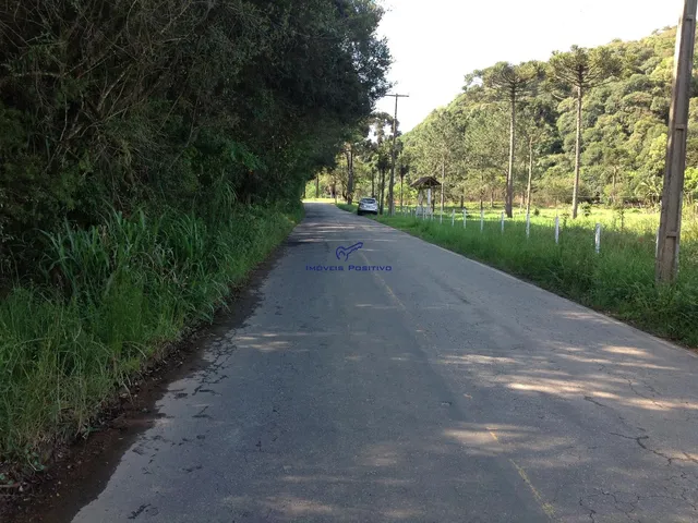 Imagem 13: Terreno Residencial em Campo Largo - Paraná, Vila David Antônio