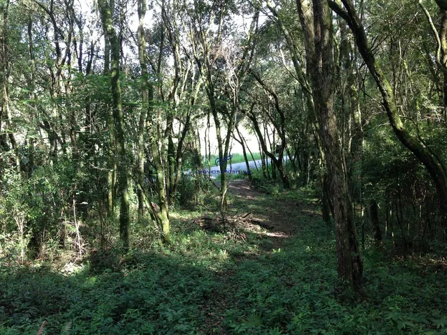 Imagem 9: Terreno Residencial em Campo Largo - Paraná, Vila David Antônio