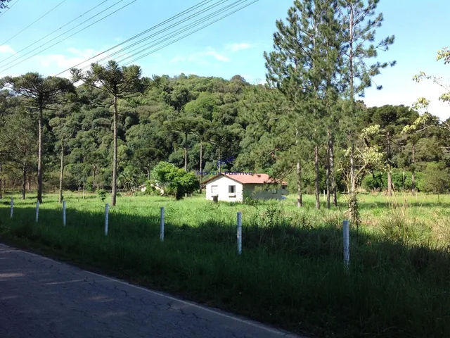 Imagem 15: Terreno Residencial em Campo Largo - Paraná, Vila David Antônio