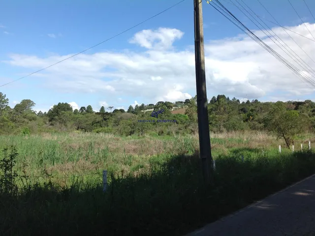 Imagem 11: Terreno Residencial em Campo Largo - Paraná, Vila David Antônio