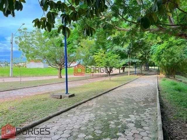 Imagem: Loteamento Completo em Jardim das Oliveiras