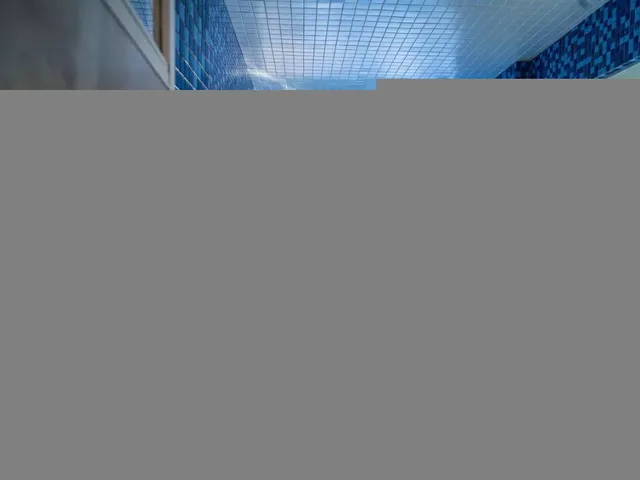 Imagem 12: Apartamento para Locação na Savassi, 2 Suítes e 2 Vagas. Armários Novos em Todo o Apartamento