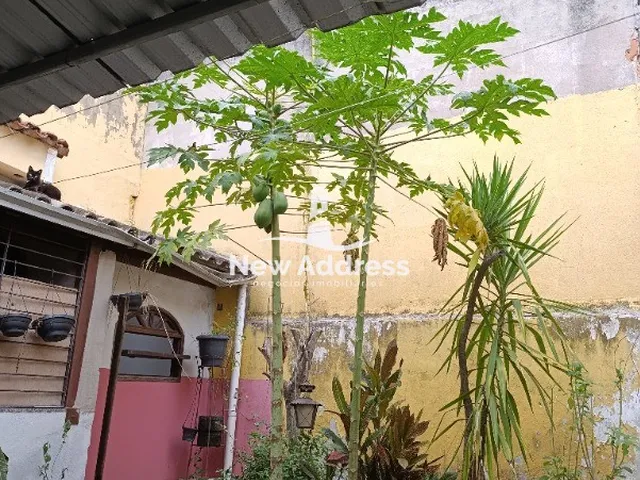 Imagem 4: Casa com 6 Unidades Residenciais À Venda em Guaranhuns - Vila Velha