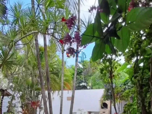 Imagem 3: Casa À Venda no Bairro Centro - Tibau do Sul/Rn