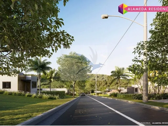 Imagem 5: .