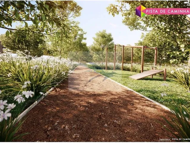 Imagem 10: .