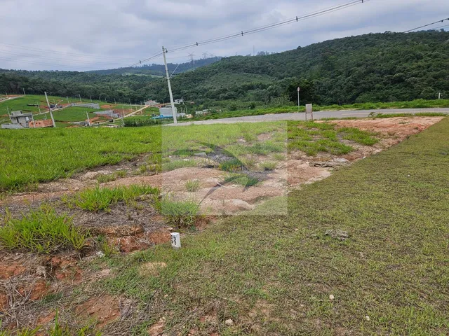 Imagem 5: Terreno em Loteamento pronto para construir