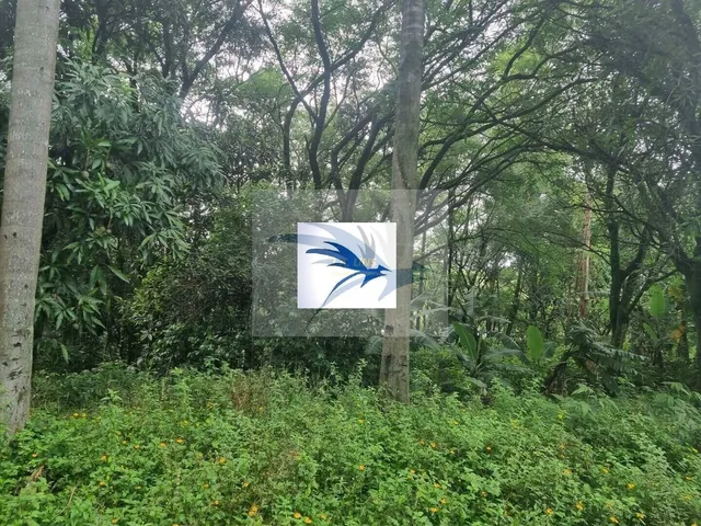 Imagem 8: Grande Área À Venda em Itapevi, Sp