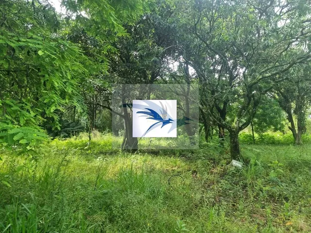 Imagem 4: Grande Área À Venda em Itapevi, Sp