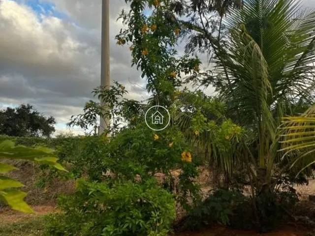 Imagem 14: Oportunidade! Chácara À Venda na Comunidade Poço Novo em Montes Claros