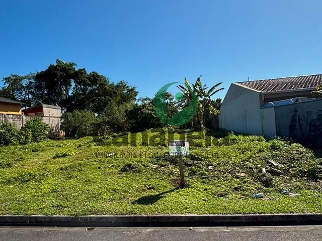 Imagem: Terreno 300 M2 na Rua Benedito Paiva, Atrás