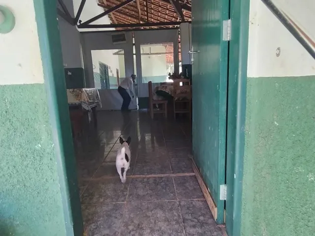 Imagem 10: Chácara À Venda no Bairro Centro - Bandeira do Sul/Mg