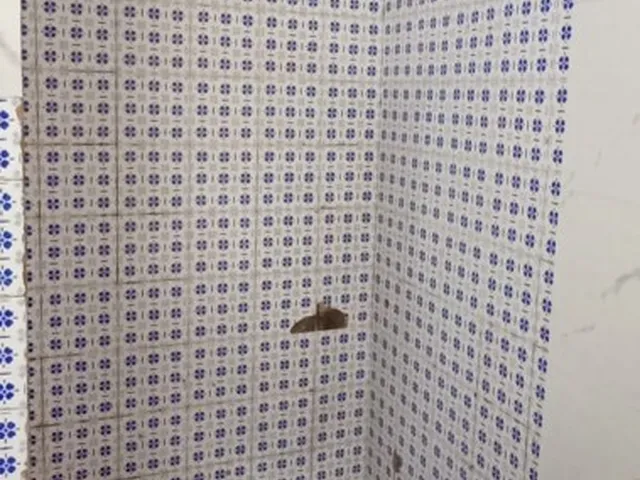 Imagem 7: Casa para Locação em Olinda / Pe no Bairro Casa Caiada