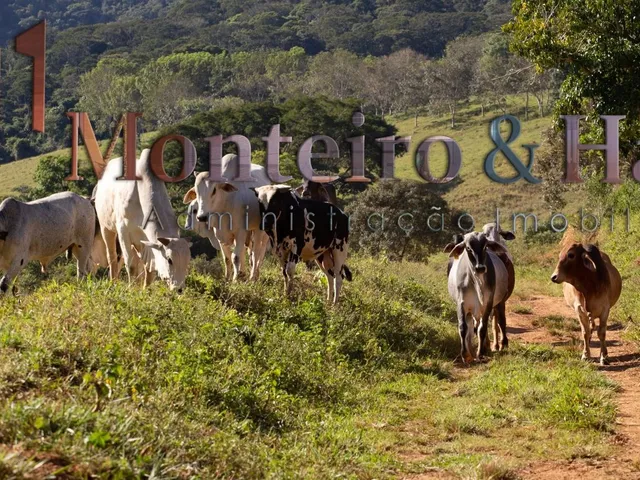 Imagem 16: 0 Fazenda / sítio com 9 dormitórios